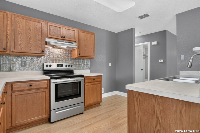 209 Gatewood Falls Property Photo 6