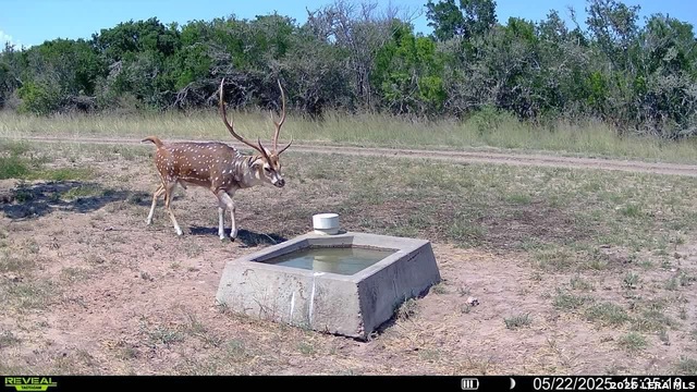 208 Well Pad Rd Property Photo 44