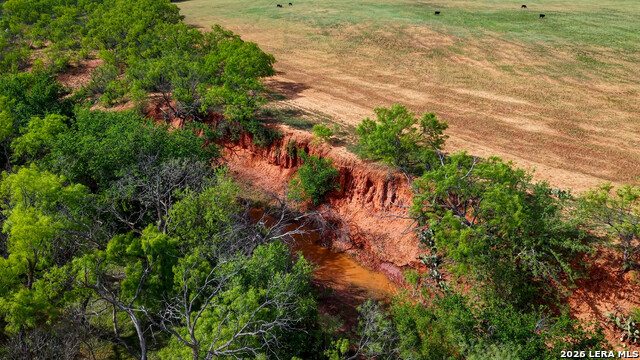 Tbd Cr 314 Property Photo 5