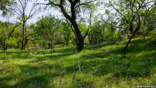 Tbd Cr 314 Property Photo 10