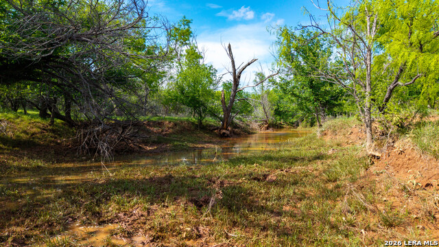 Tbd Cr 314 Property Photo 17