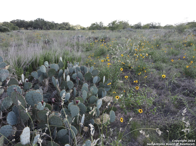 Tbd Tract 6 Pr Two A Ln Property Photo 10