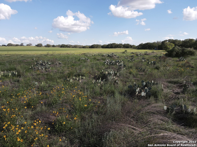 Tbd Tract 6 Pr Two A Ln Property Photo 11