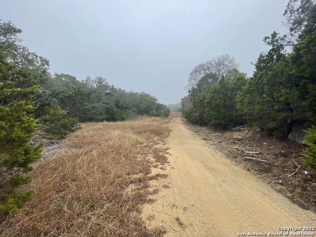 0 E Ammann Rd Property Photo 19