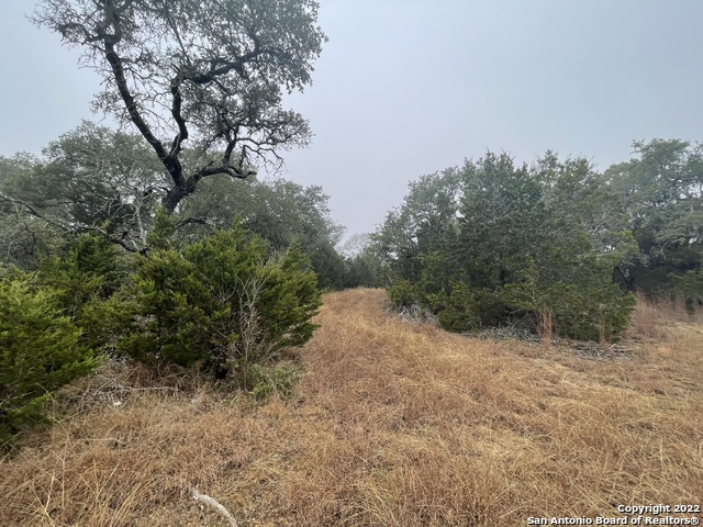 0 E Ammann Rd Property Photo 29
