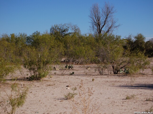 Tbd Fm 186 Property Photo 2