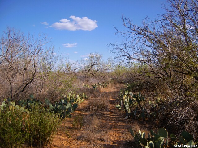 Tbd Fm 186 Property Photo 5