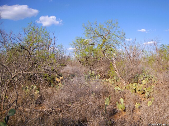 Tbd Fm 186 Property Photo 6