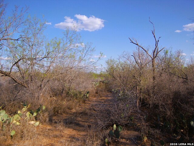 Tbd Fm 186 Property Photo 7