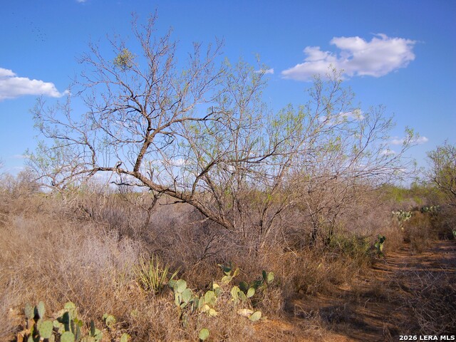 Tbd Fm 186 Property Photo 8