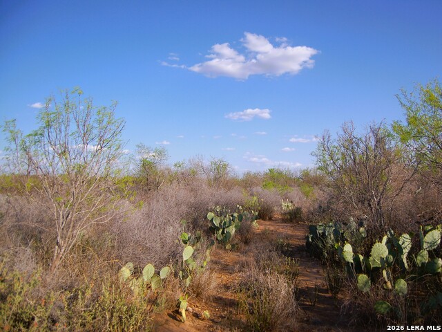 Tbd Fm 186 Property Photo 9