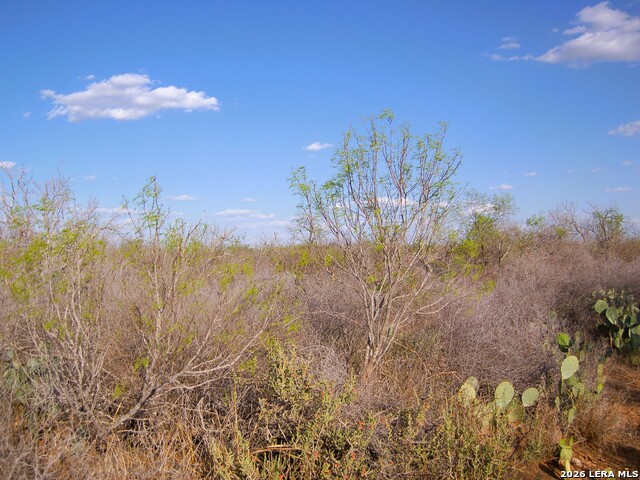 Tbd Fm 186 Property Photo 10