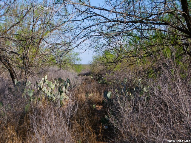 Tbd Fm 186 Property Photo 12