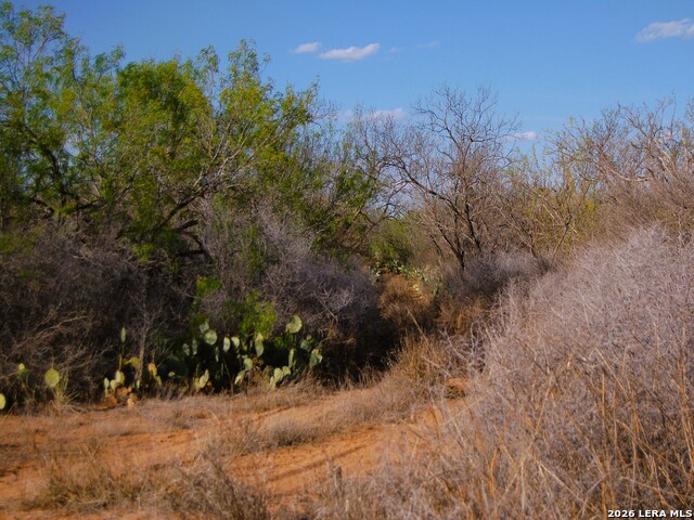 Tbd Fm 186 Property Photo 13