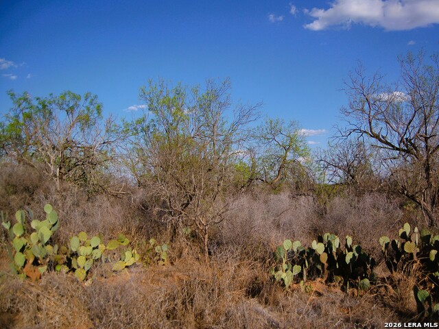 Tbd Fm 186 Property Photo 14