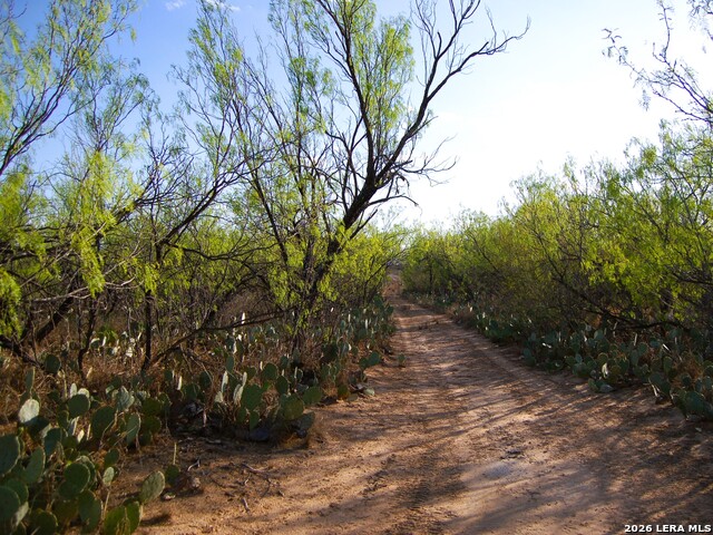 Tbd Fm 186 Property Photo 15