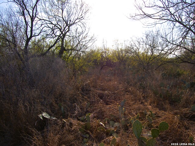 Tbd Fm 186 Property Photo 19