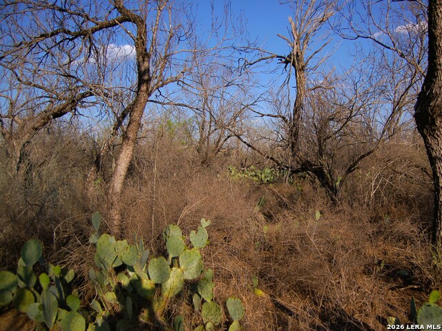 Tbd Fm 186 Property Photo 21