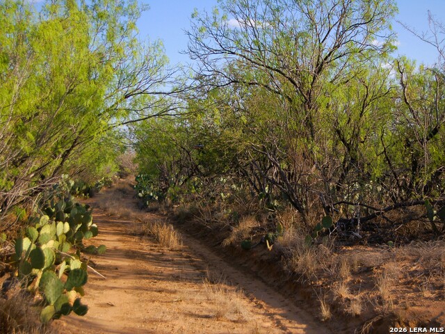 Tbd Fm 186 Property Photo 24