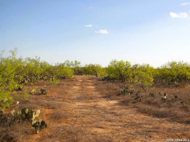 Tbd Fm 186 Property Photo 25