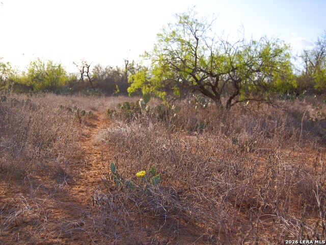 Tbd Fm 186 Property Photo 28