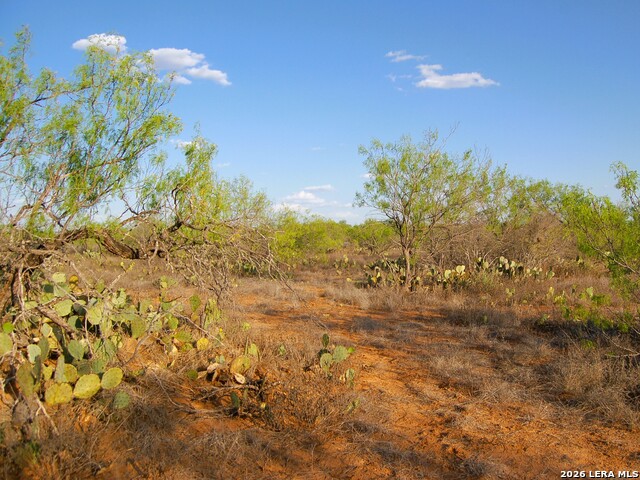 Tbd Fm 186 Property Photo 30