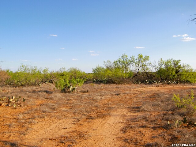 Tbd Fm 186 Property Photo 32