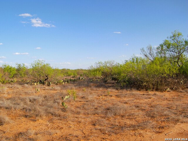 Tbd Fm 186 Property Photo 33