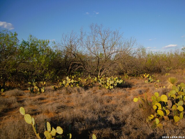 Tbd Fm 186 Property Photo 36