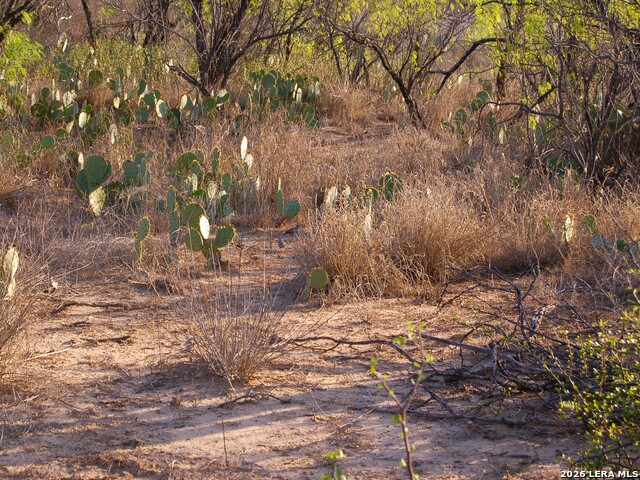 Tbd Fm 186 Property Photo 37