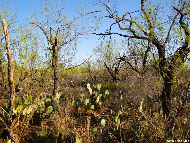 Tbd Fm 186 Property Photo 38