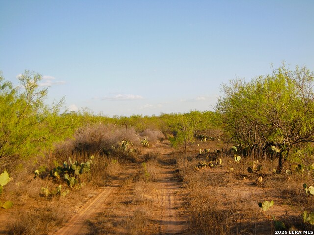 Tbd Fm 186 Property Photo 40