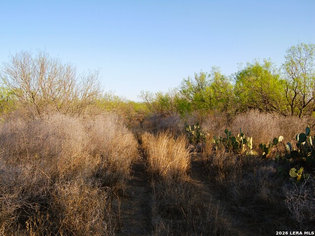Tbd Fm 186 Property Photo 41