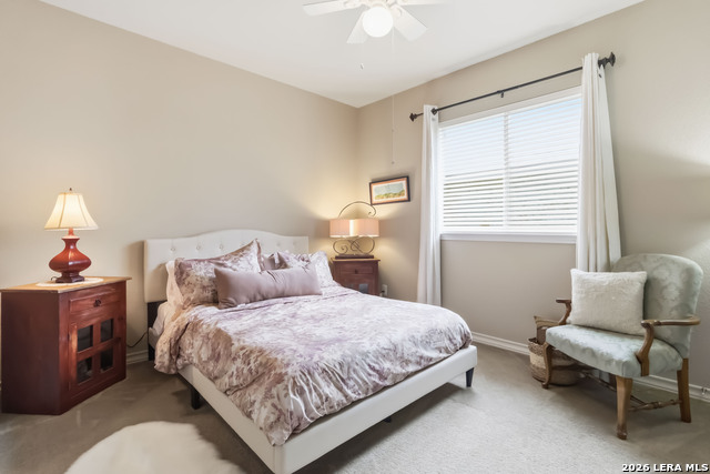 26314 Tuscan Park Property Photo 16