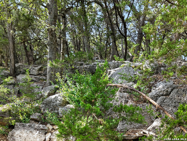 25867 Lewis Ranch Rd Property Photo 56