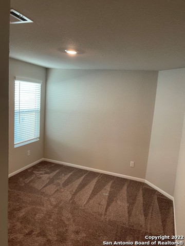 10538 Borlaug St Property Photo 11