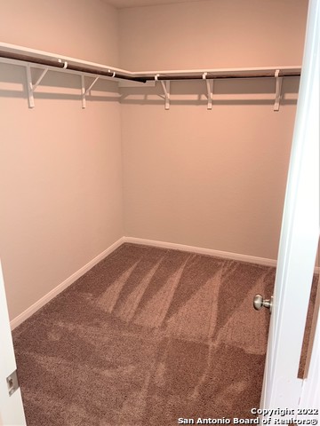10538 Borlaug St Property Photo 19