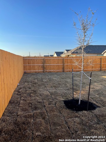 10538 Borlaug St Property Photo 23