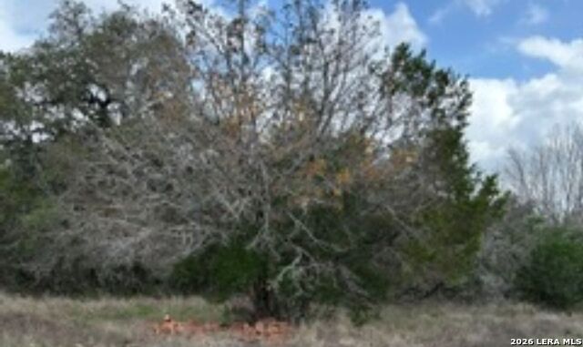 183 Fossil Property Photo 4