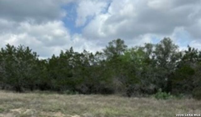 183 Fossil Property Photo 5