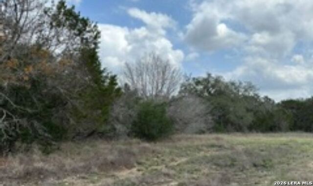 183 Fossil Property Photo 6