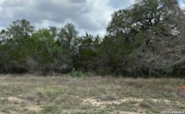 183 Fossil Property Photo 8