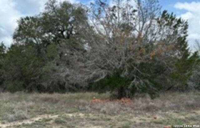183 Fossil Property Photo 9
