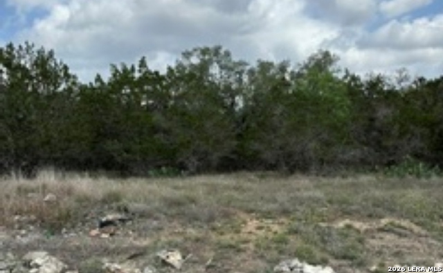 183 Fossil Property Photo 11