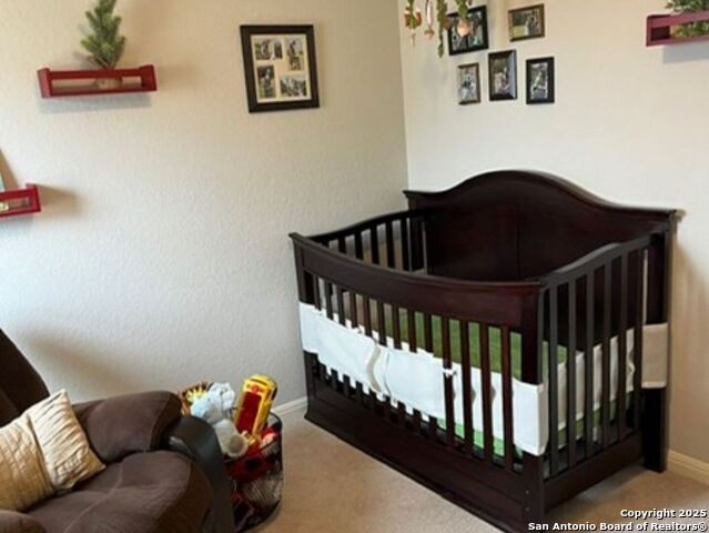 9102 Novacek Blvd Property Photo 16