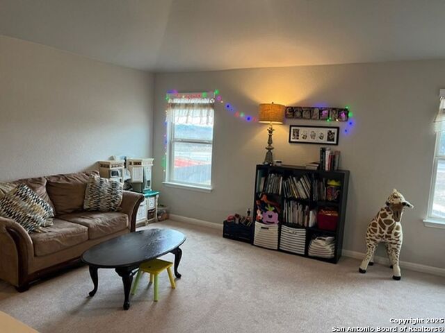 9102 Novacek Blvd Property Photo 18