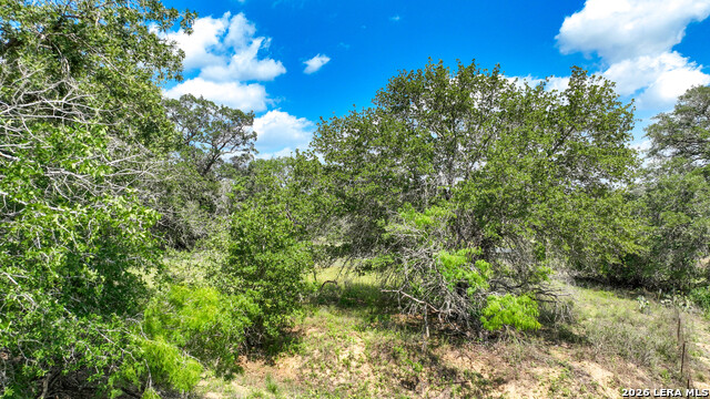 108 Misty Bend Property Photo 4