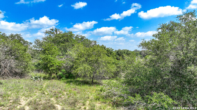 108 Misty Bend Property Photo 8