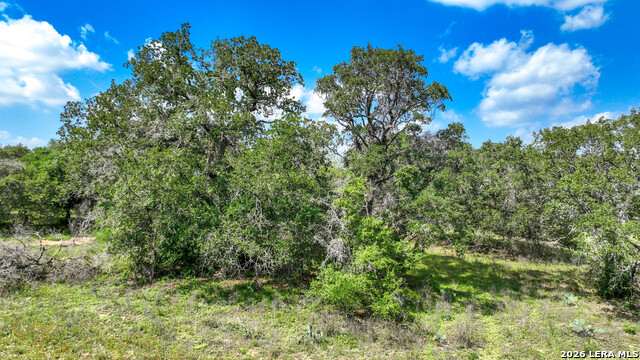 108 Misty Bend Property Photo 14