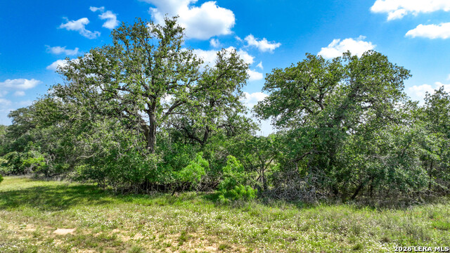 108 Misty Bend Property Photo 16